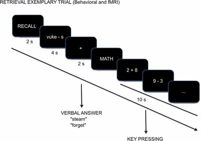 Neural Correlates of Long-Term Memory Enhancement Following Retrieval Practice